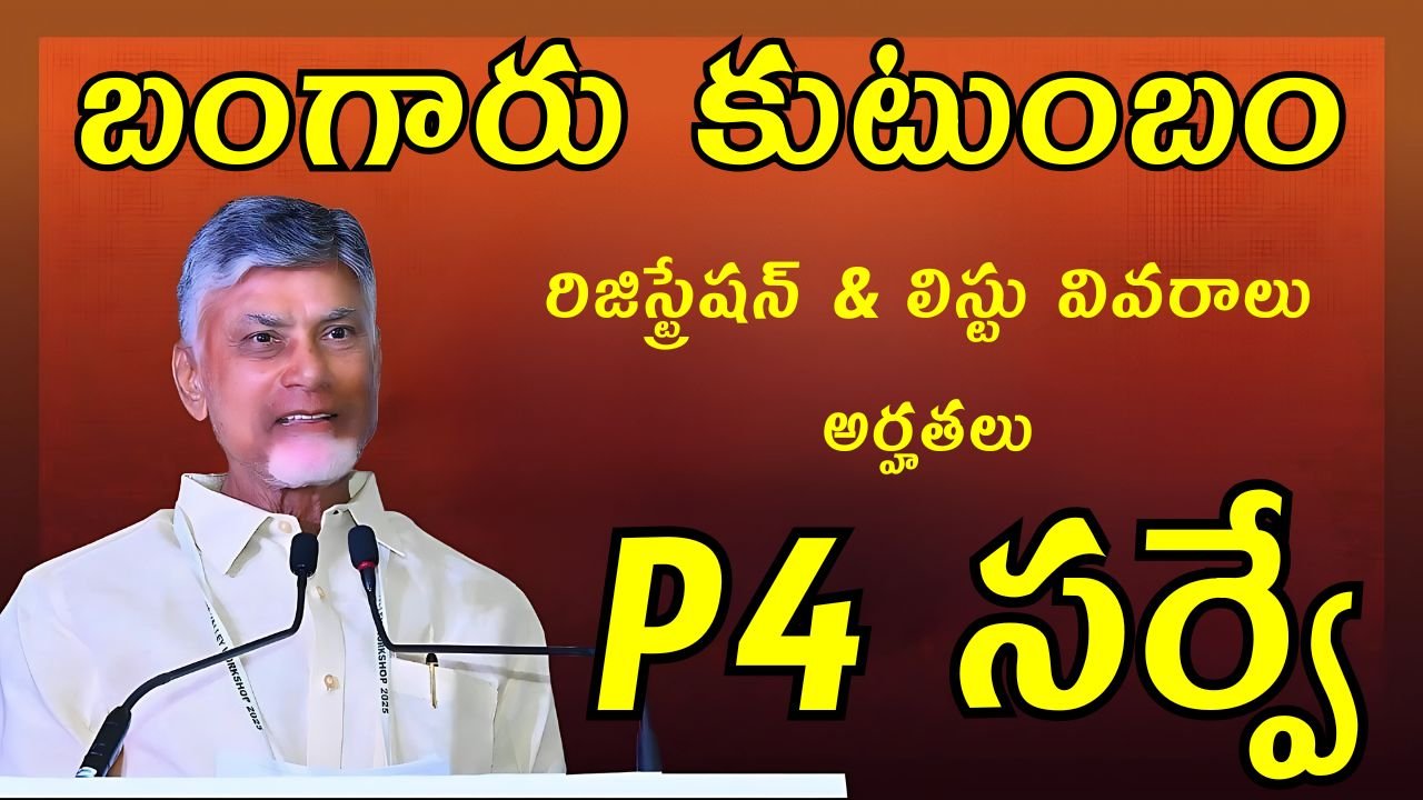 AP P4 Need Assessment Survey 2025