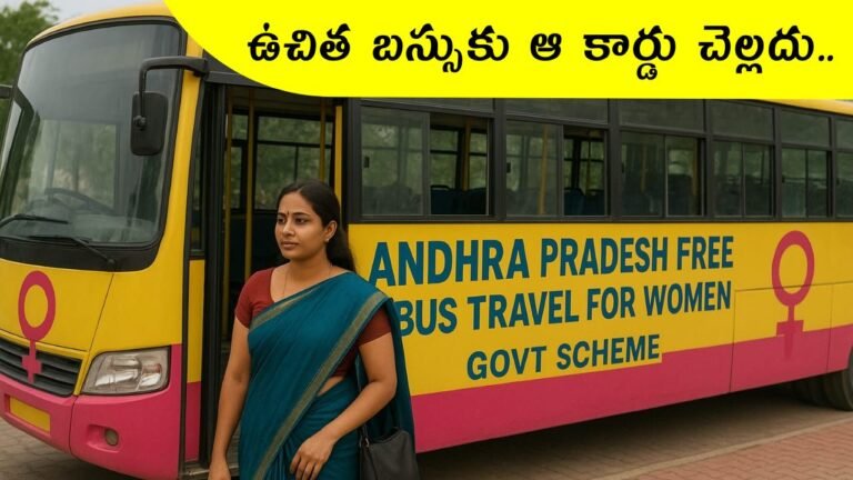 Free bus 2025
