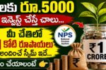 NPS Investment 5000 per month