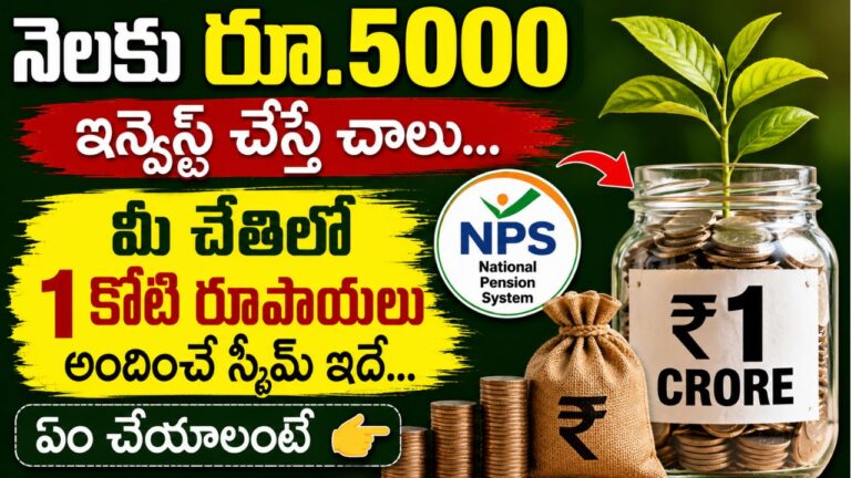 NPS Investment 5000 per month