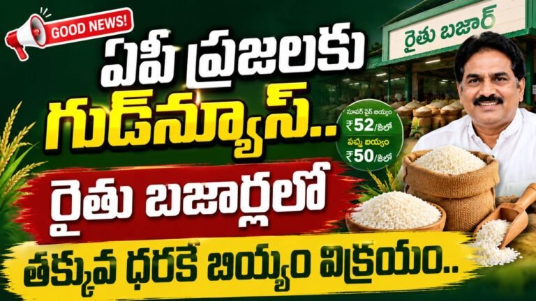 AP Rice Price 2026