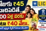 LIC Jeevan Umang 2026