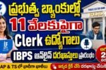 IBPS Clerk Recruitment 2026