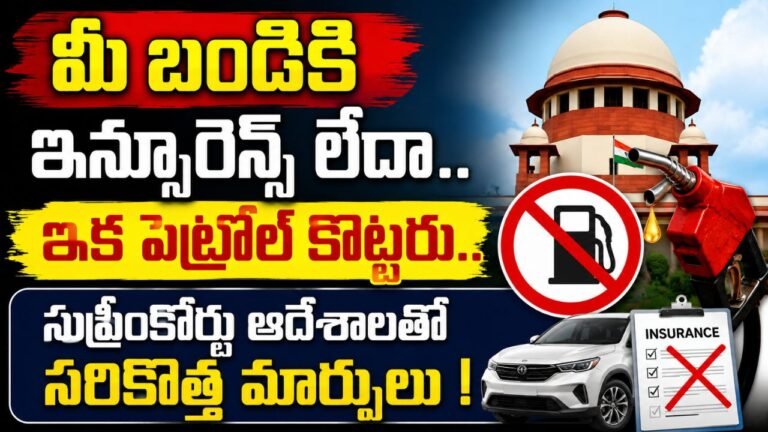 No Insurance No Fuel