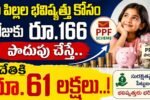 PPF Scheme Investment 5000 Monthly